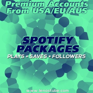 Spotify Boost Package - Plays, Saves & Followers Package